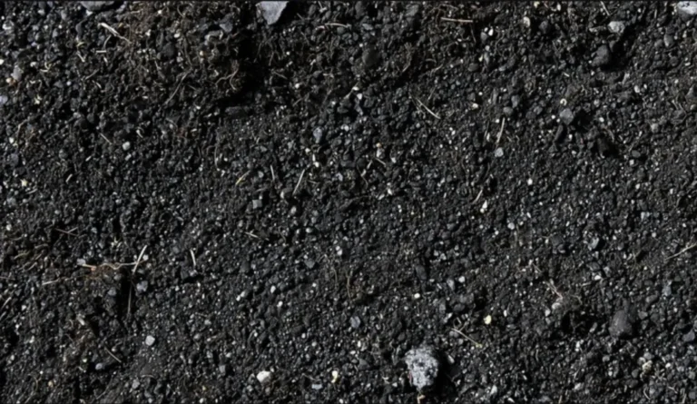 Close-up of dark, granular soil with small rocks and organic debris.